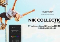 Nik Collection v6.9.0 中文版 - 摄影师和修图师必备的PS滤镜插件